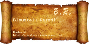 Blaustein Rezső névjegykártya